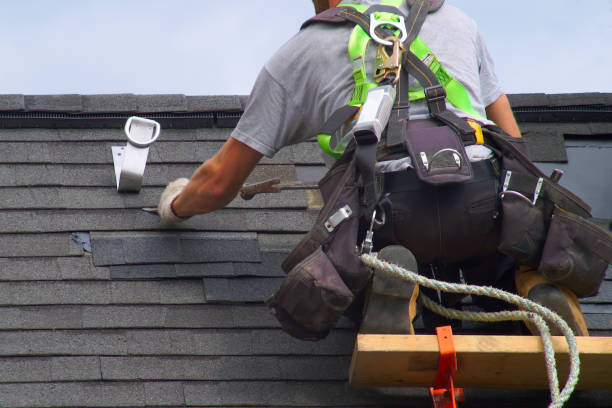 Affordable siding repair and maintenance services in Trion, GA